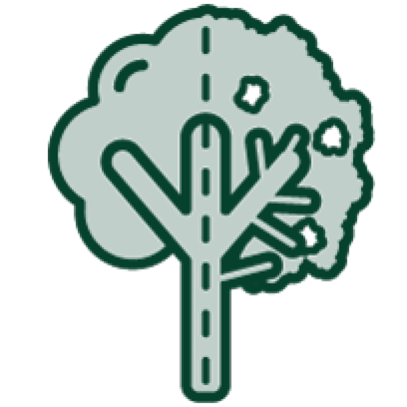 Tree maintenance icon